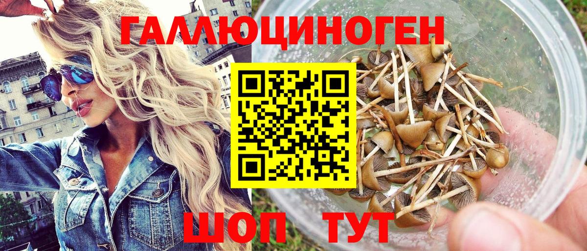 Псилоцибиновые грибы Cubensis Ессентуки